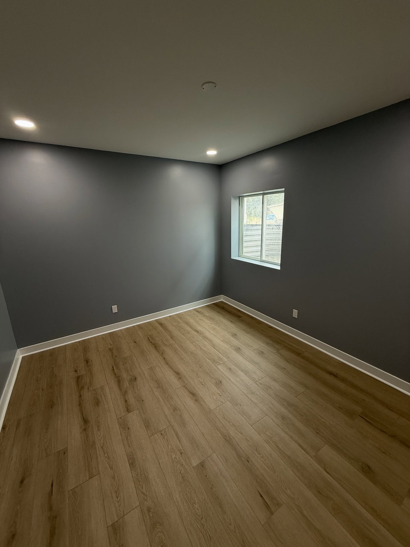 Finished basement living space Fishers IN