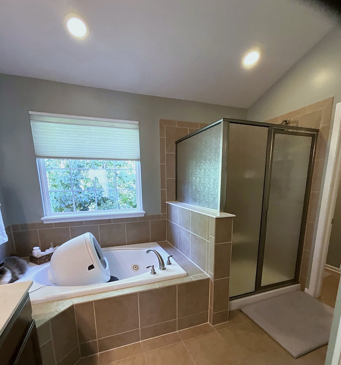 Primary bathroom tub and shower in Fishers IN — before
