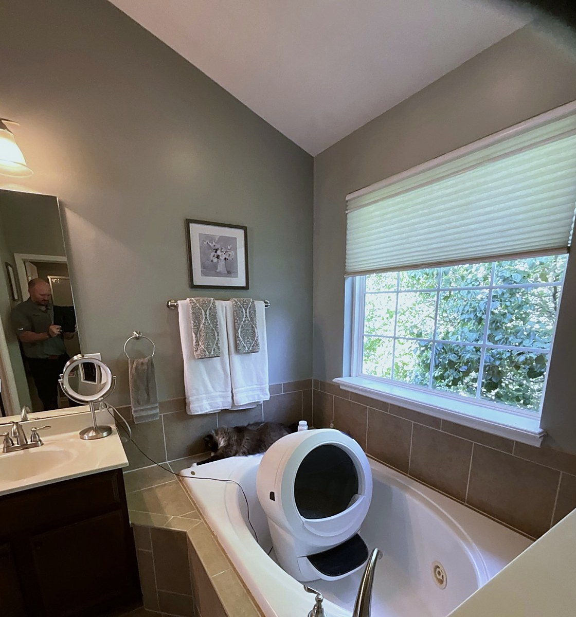 Freestanding tub under the window in Fishers IN — before